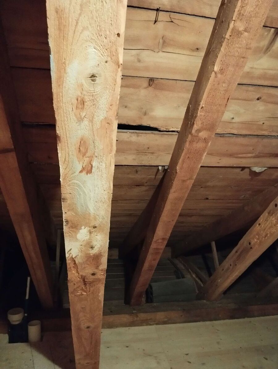 Bee nest at the house remove