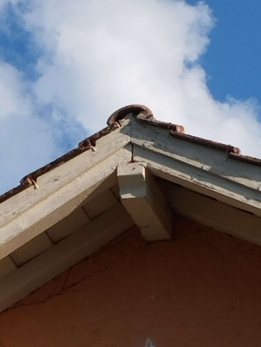 Bee nest at the house remove