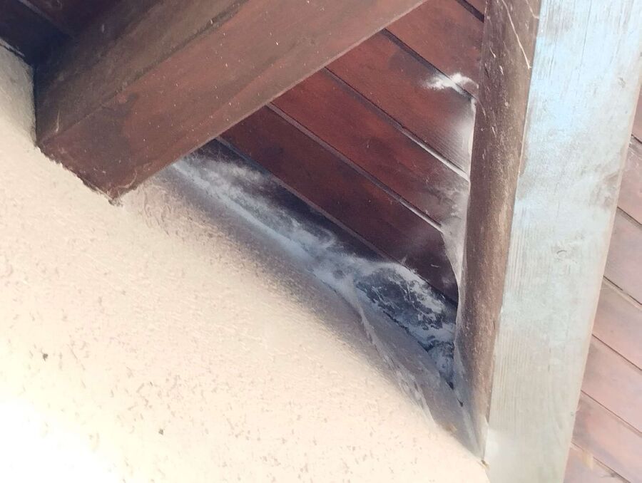 Bee nest at the house remove