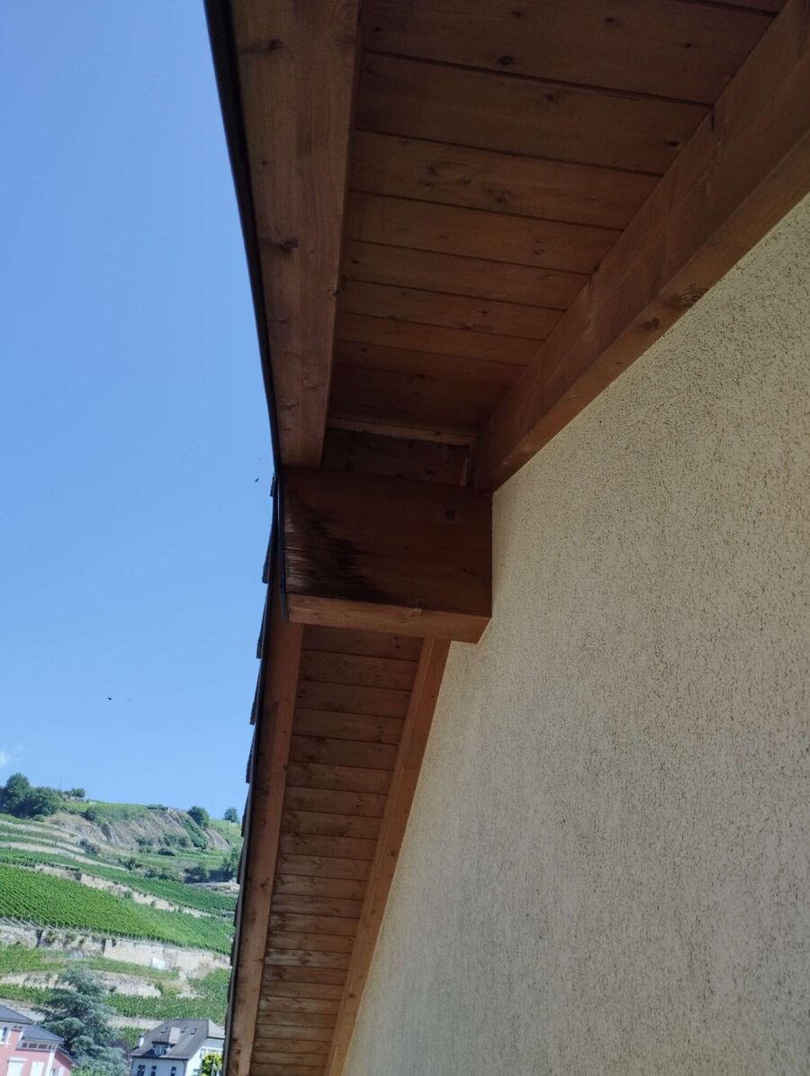 Bee nest at the house remove