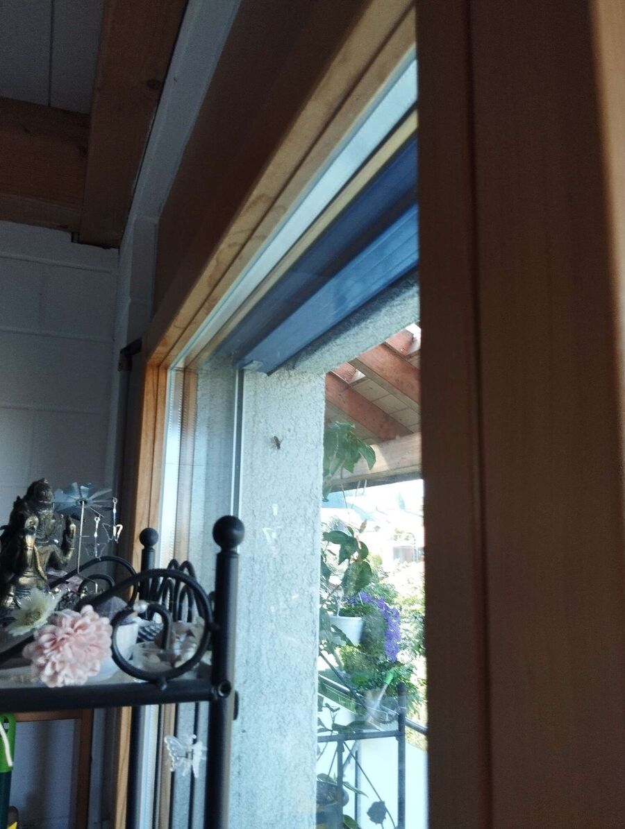 Bee nest at the house remove