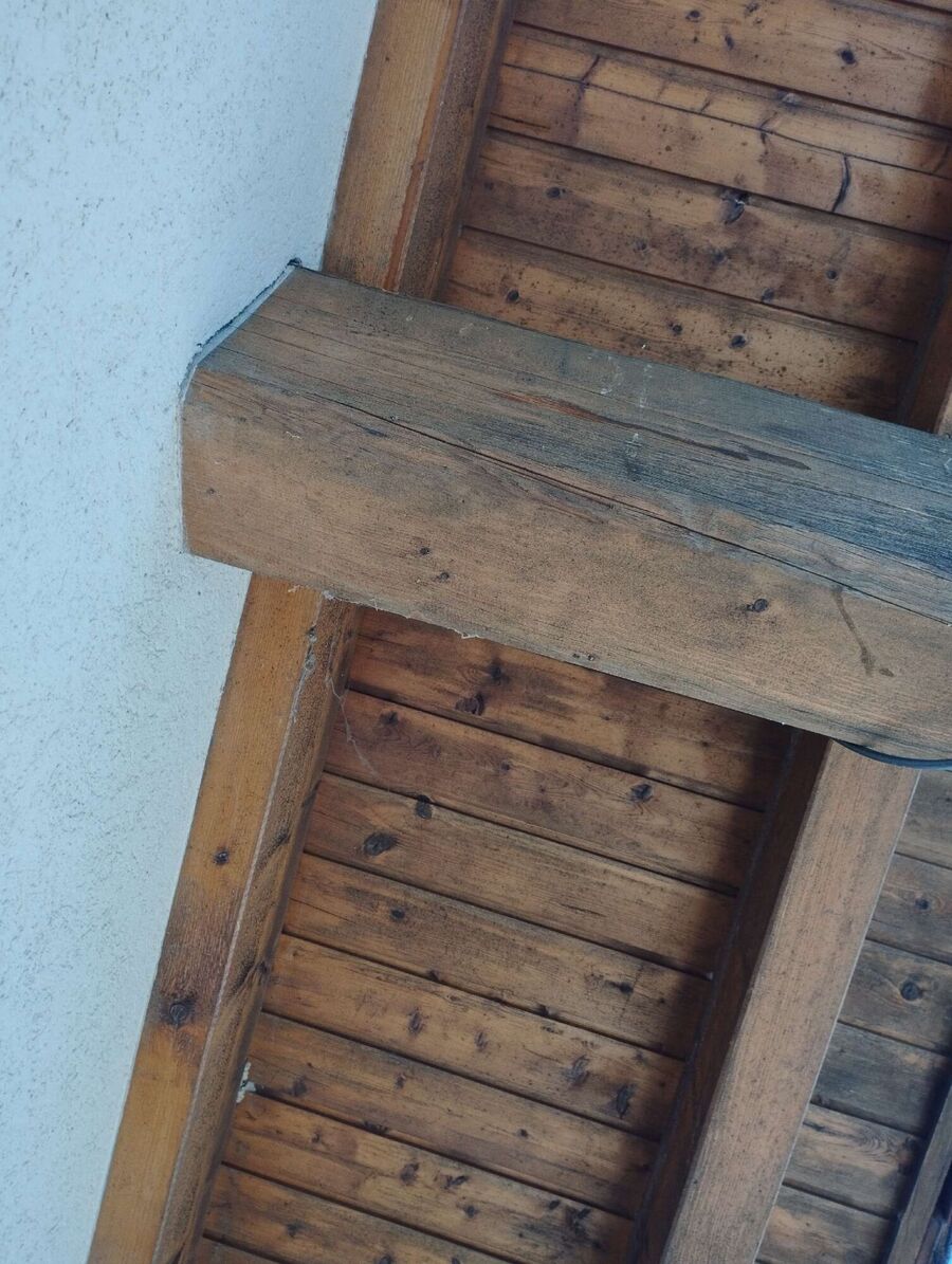 Bee nest at the house remove