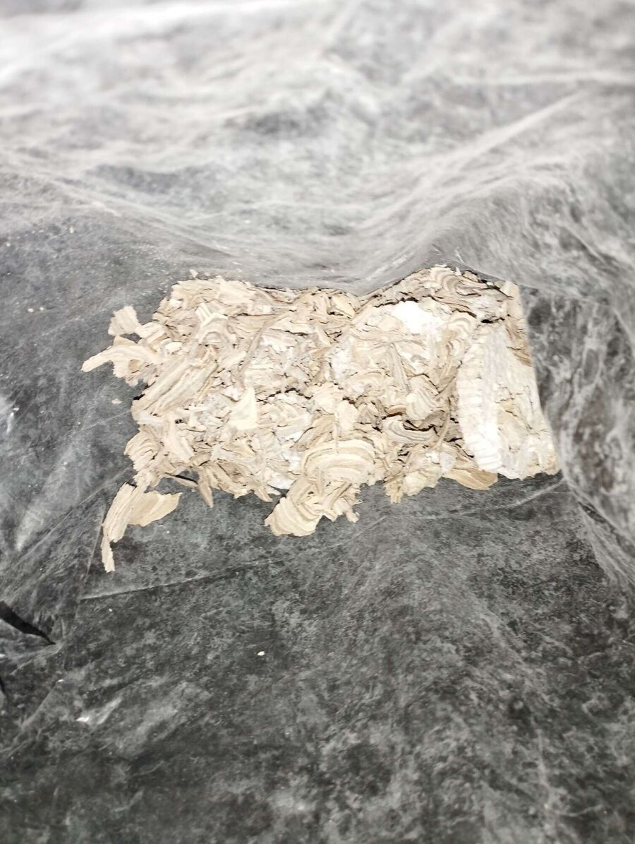 Bee nest at the house remove