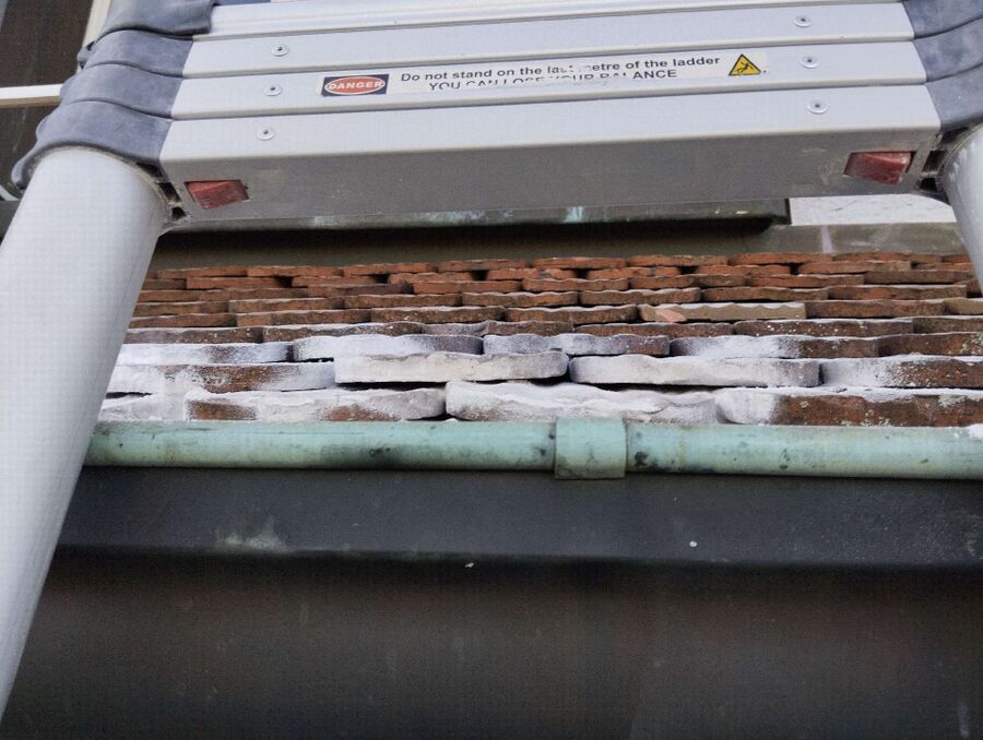 Bee nest at the house remove