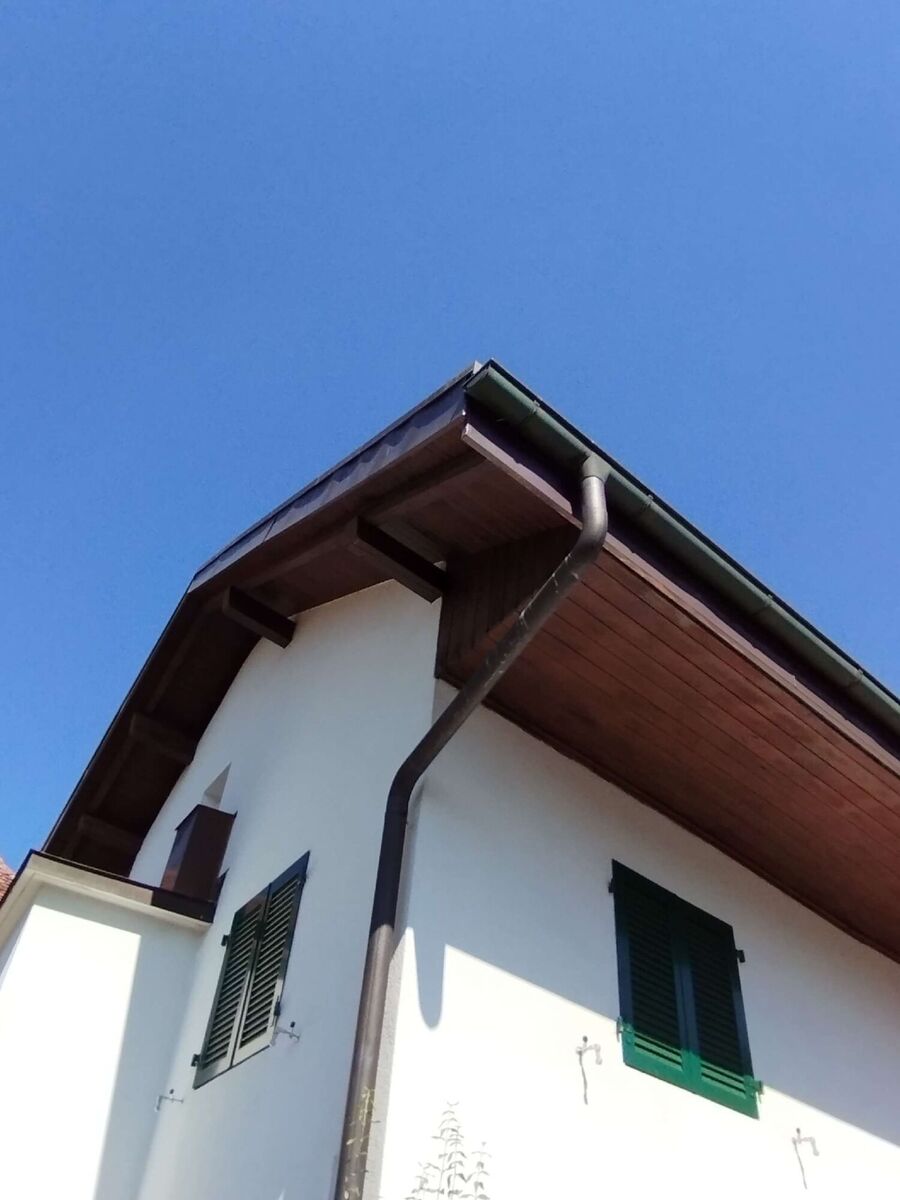 Bee nest at the house remove