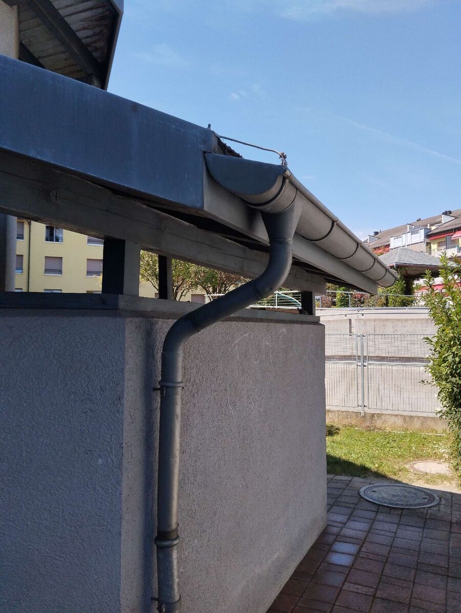 Bee nest at the house remove