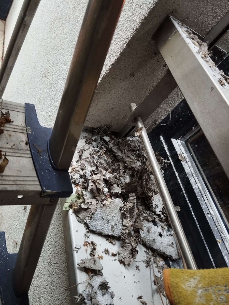 Remove bee nest