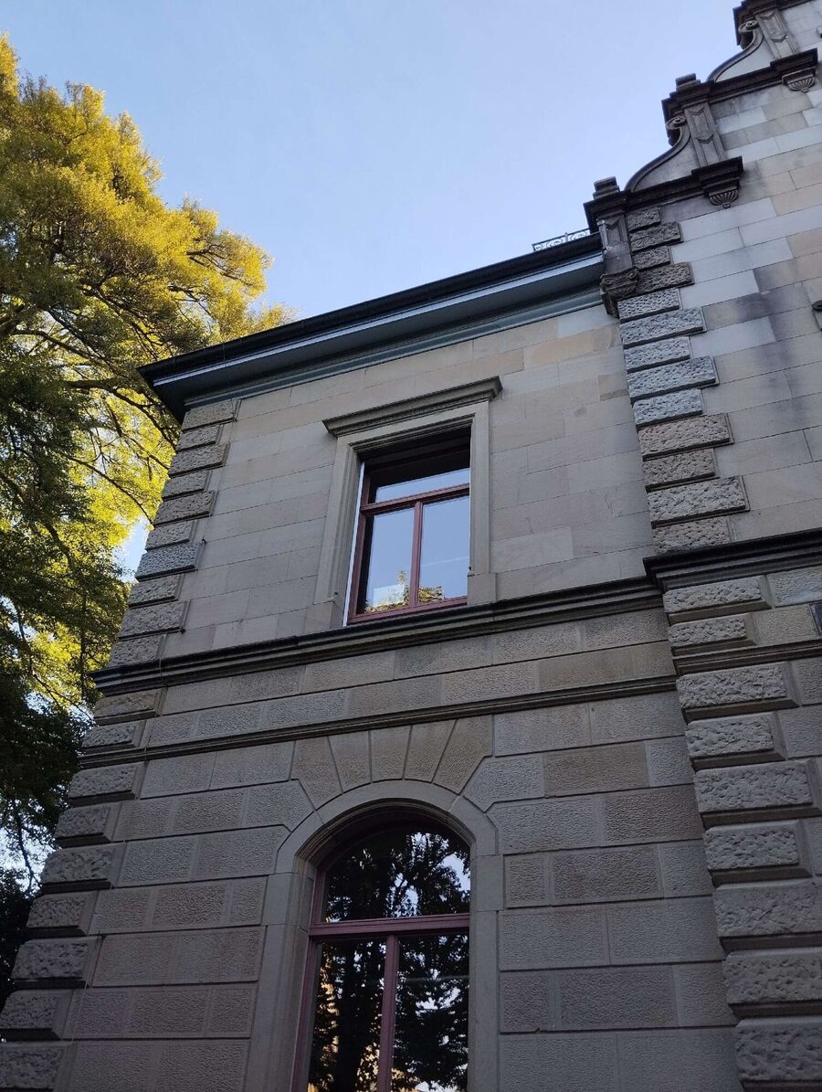 Bee nest at the house remove