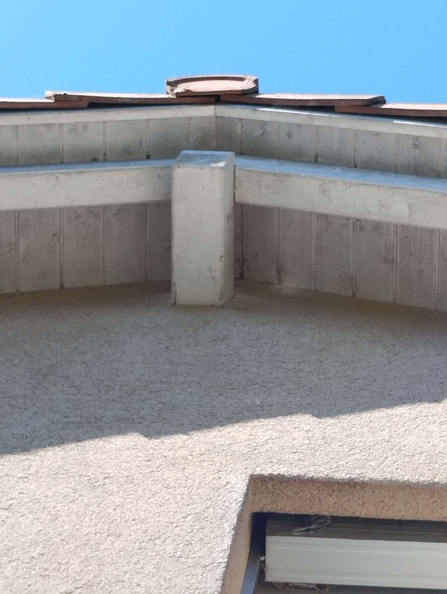 Bee nest at the house remove