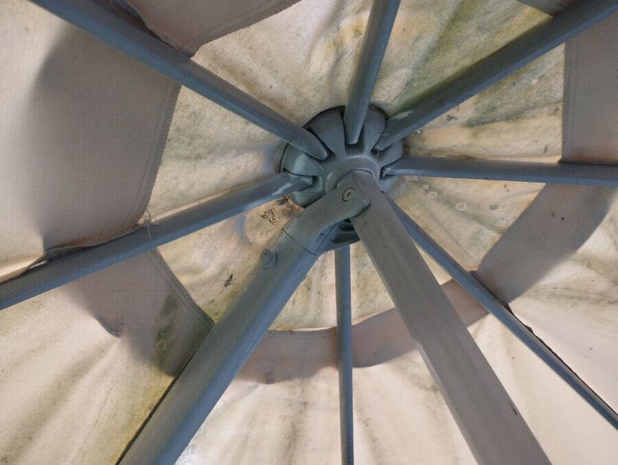 Bee nest at the house remove