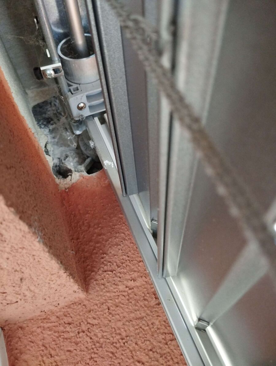 Relocate bees & remove bee nest