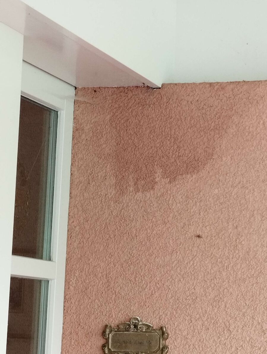 Bee nest at the house remove