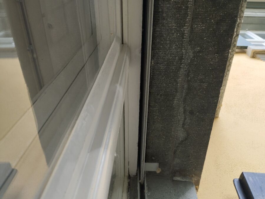 Bee nest at the house remove