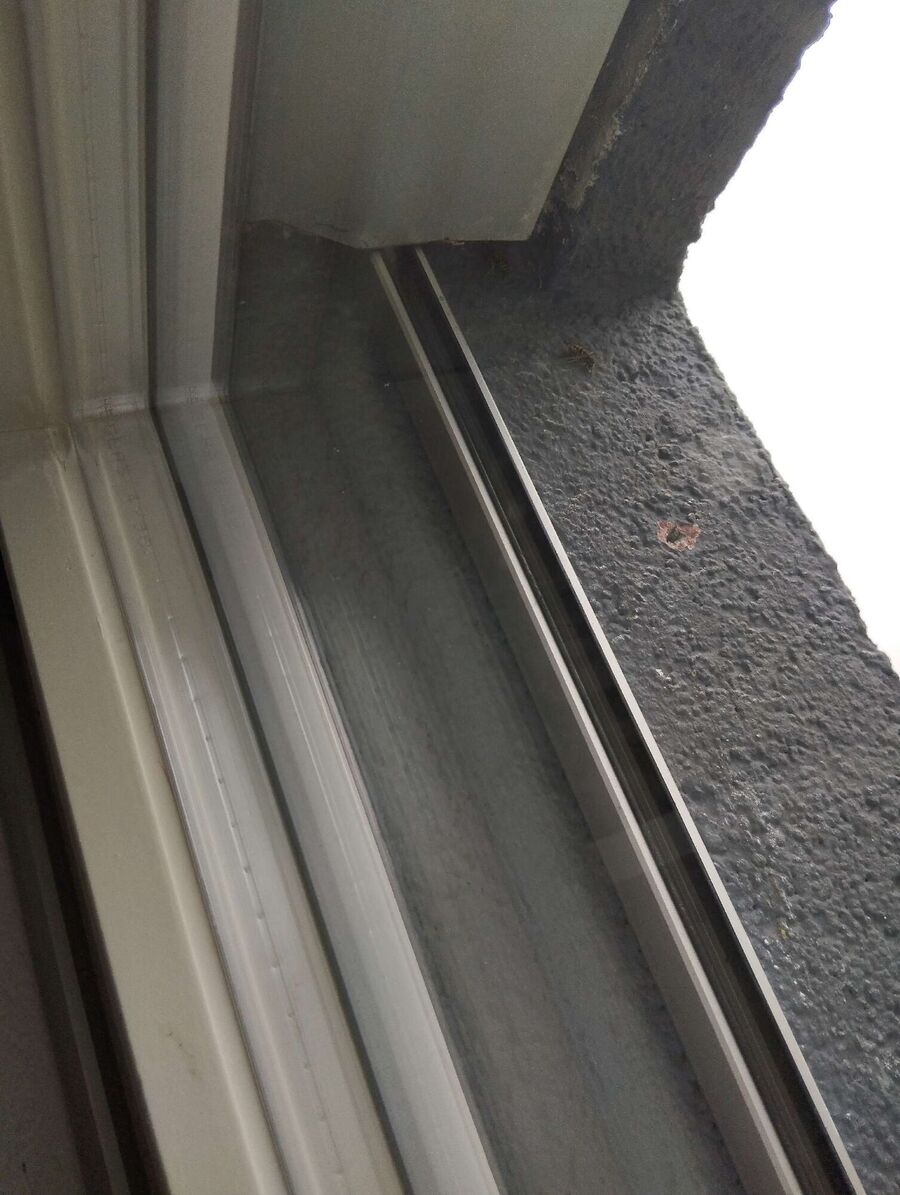 Bee nest at the house remove