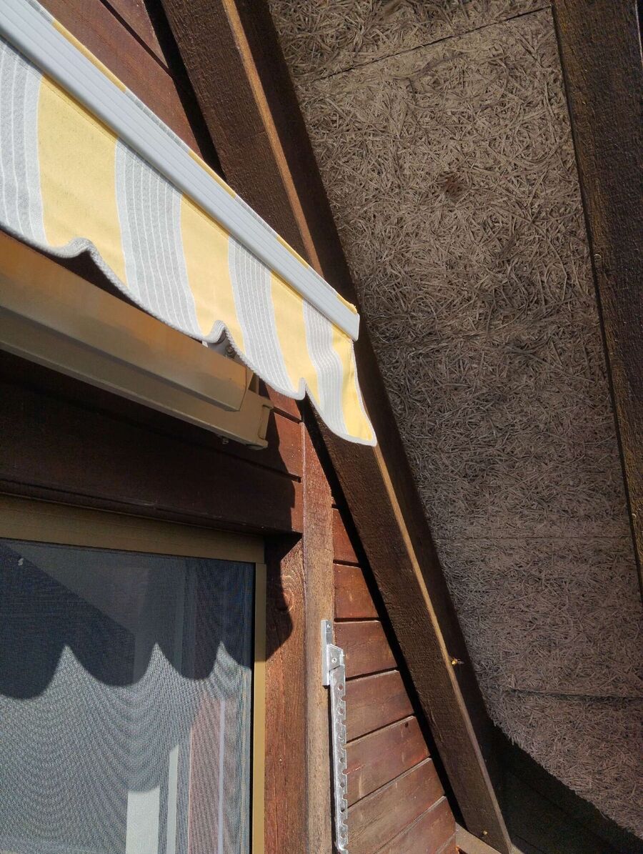 Bee nest at the house remove