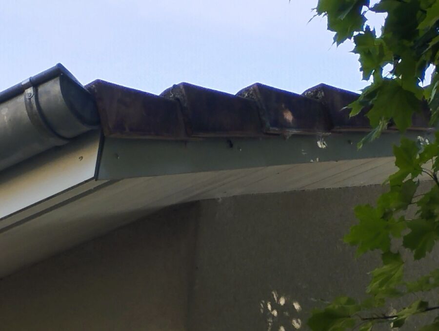 Bee nest at the house remove