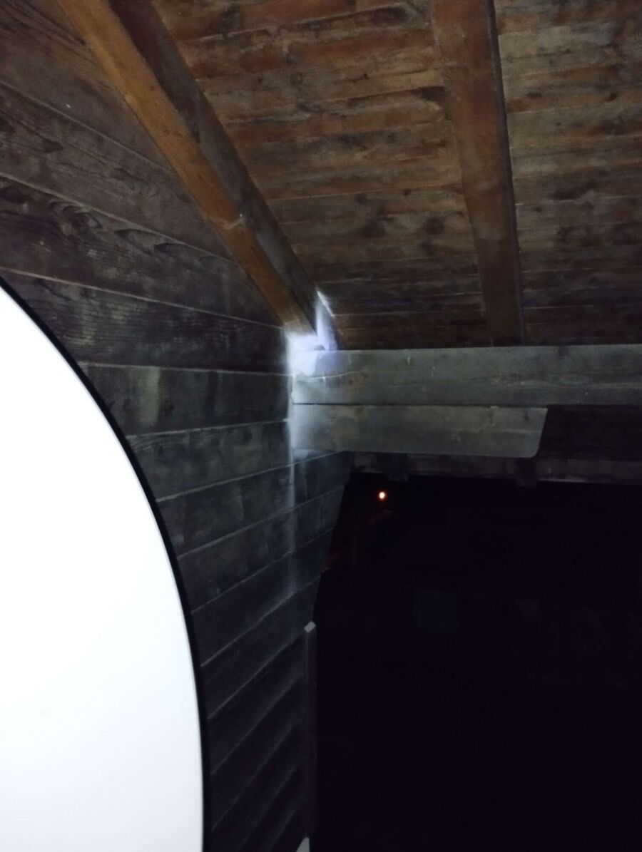 Bee nest at the house remove