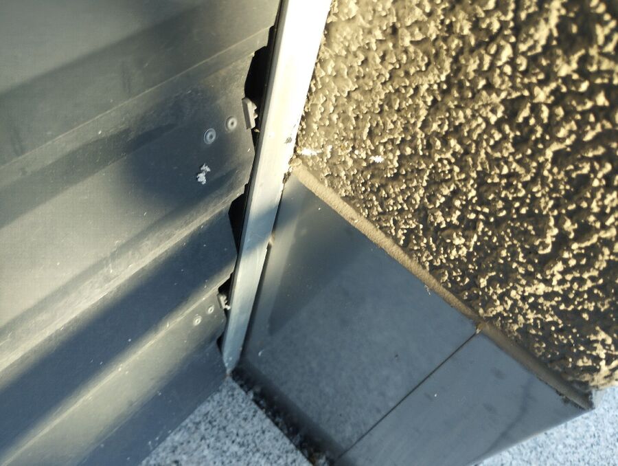 Bee nest at the house remove