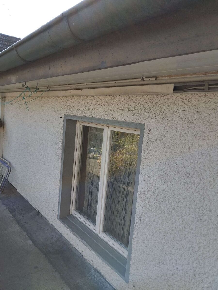 Bee nest at the house remove