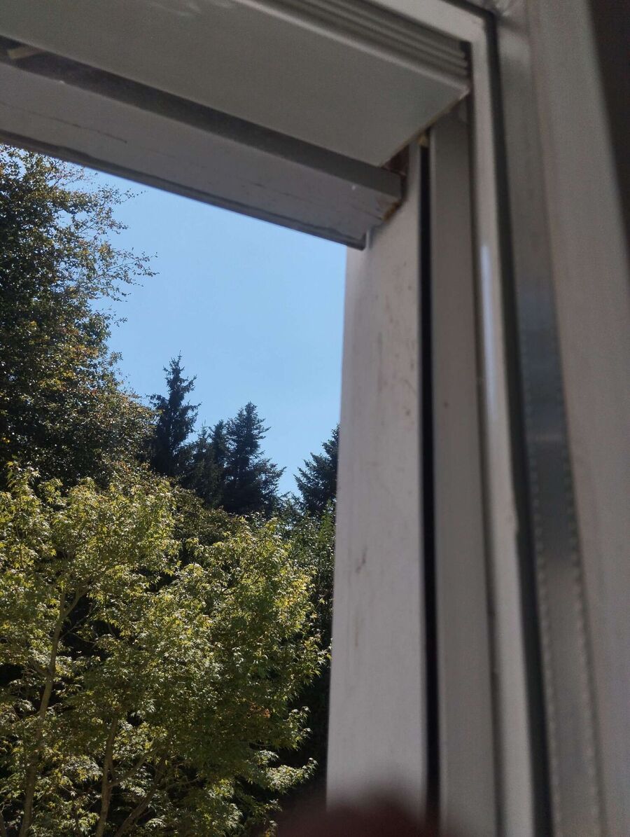 Bee nest at the house remove