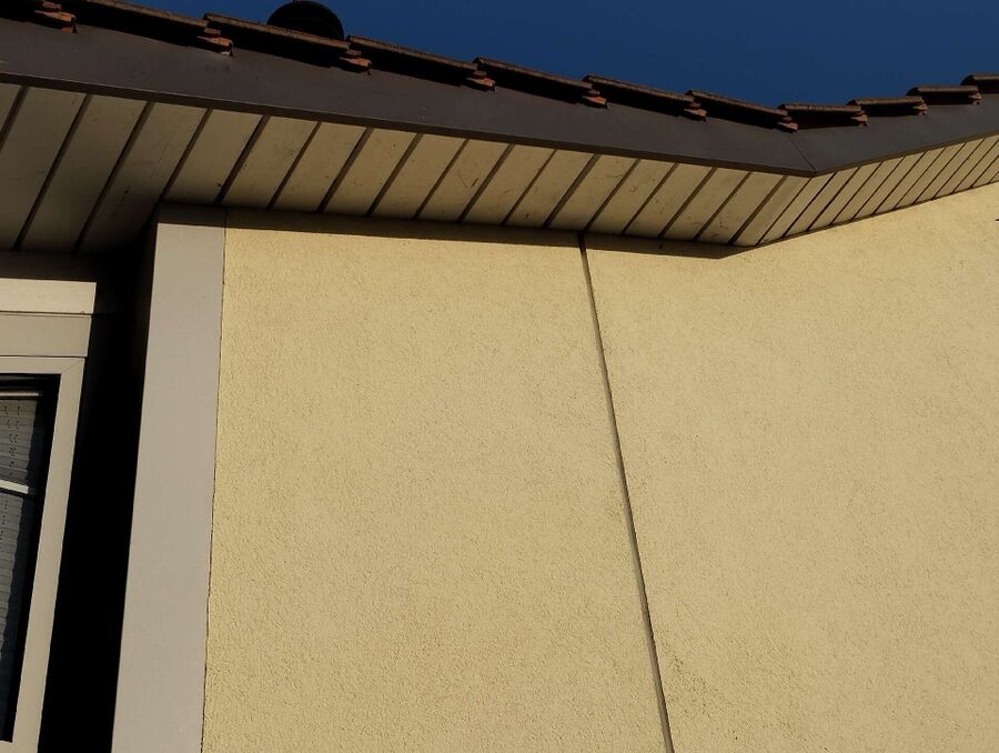 Relocate bees & remove bee nest