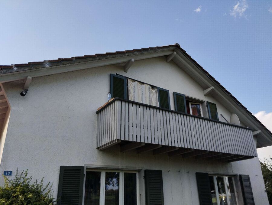 Bee nest at the house remove