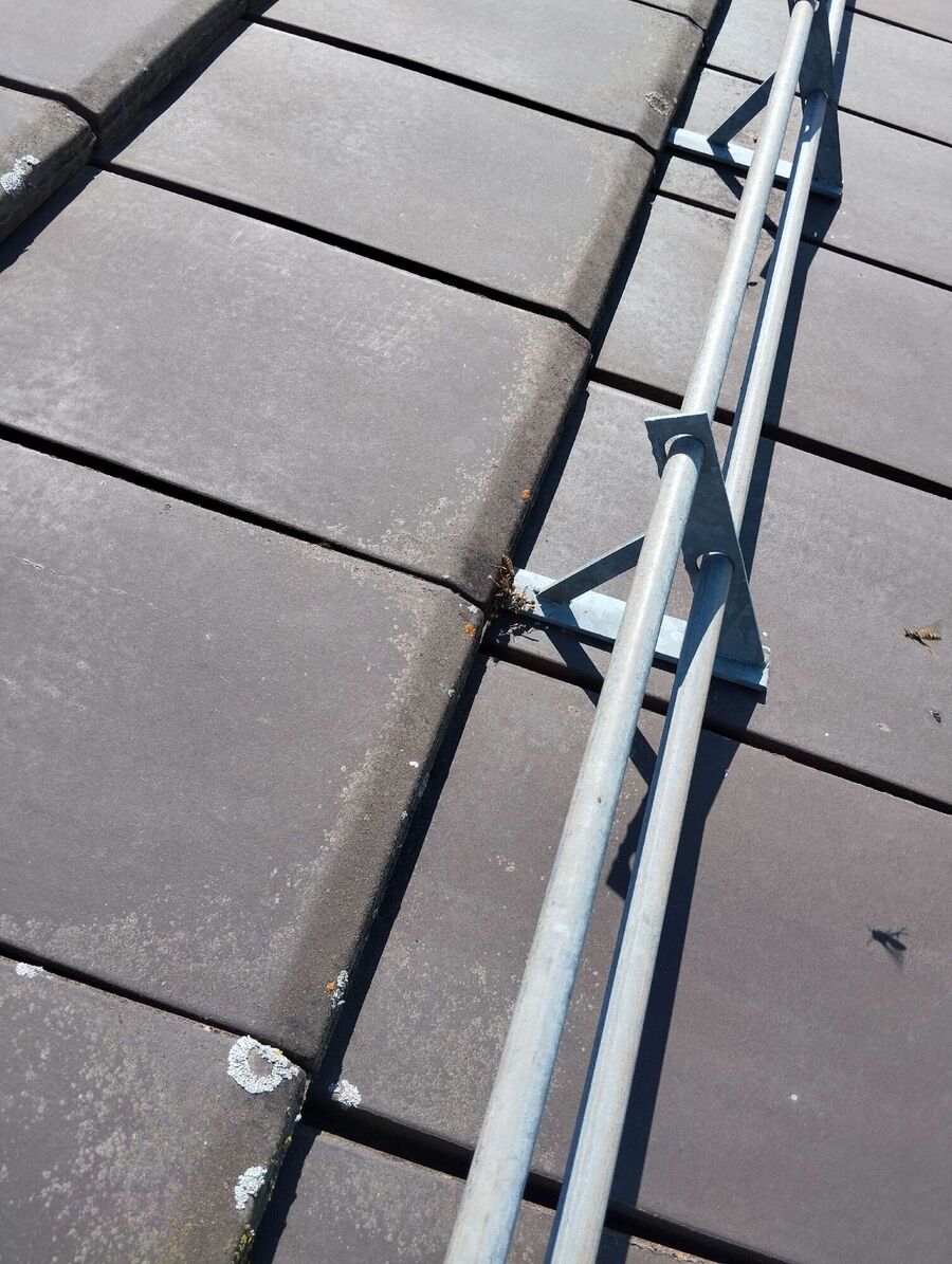 Bee nest at the house remove