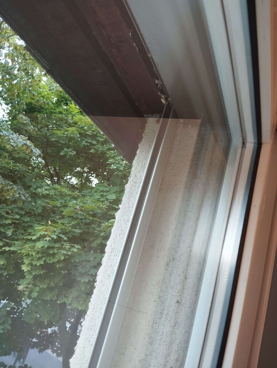 Bee nest at the house remove