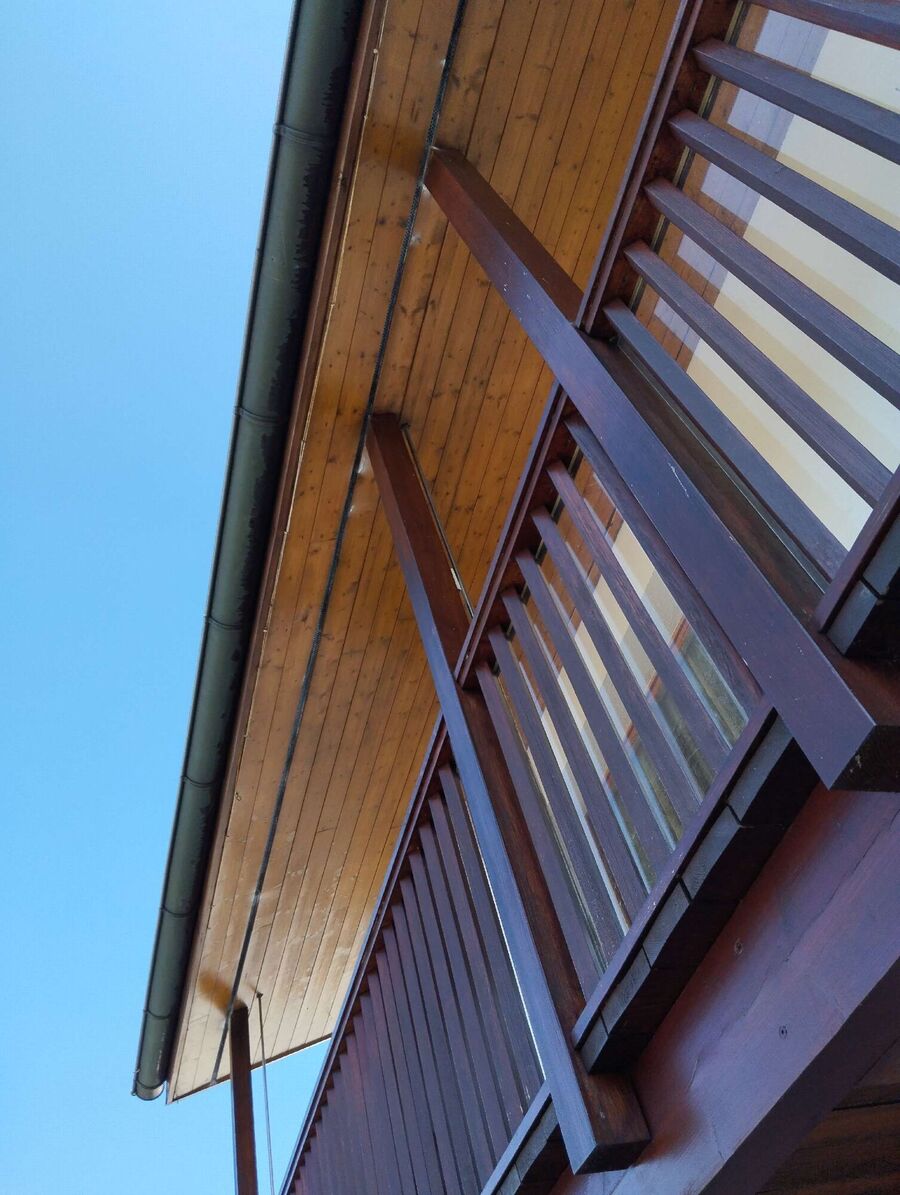 Bee nest at the house remove