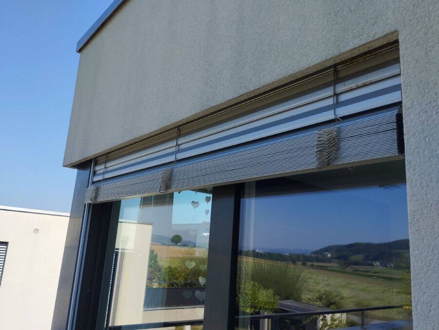 Bee nest at the house remove