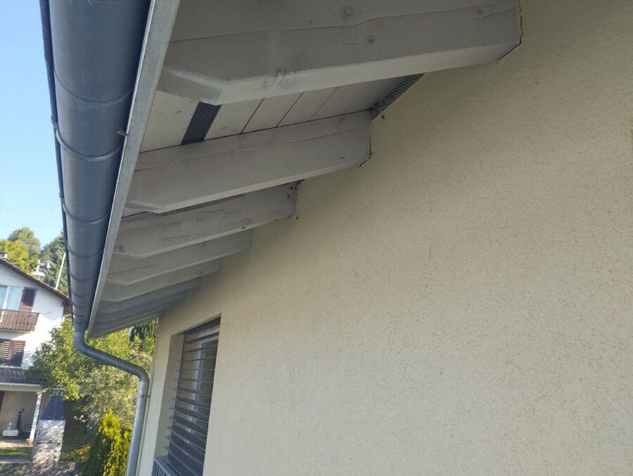 Relocate bees & remove bee nest