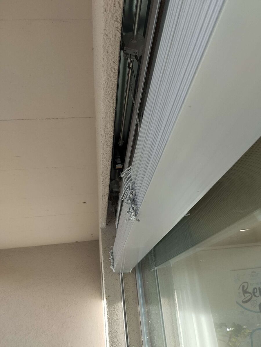 Bee nest at the house remove