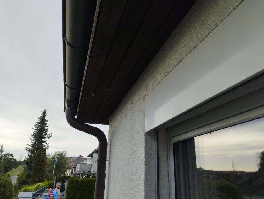 Bee nest at the house remove