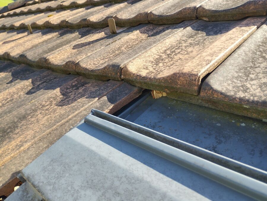 Bee nest at the house remove