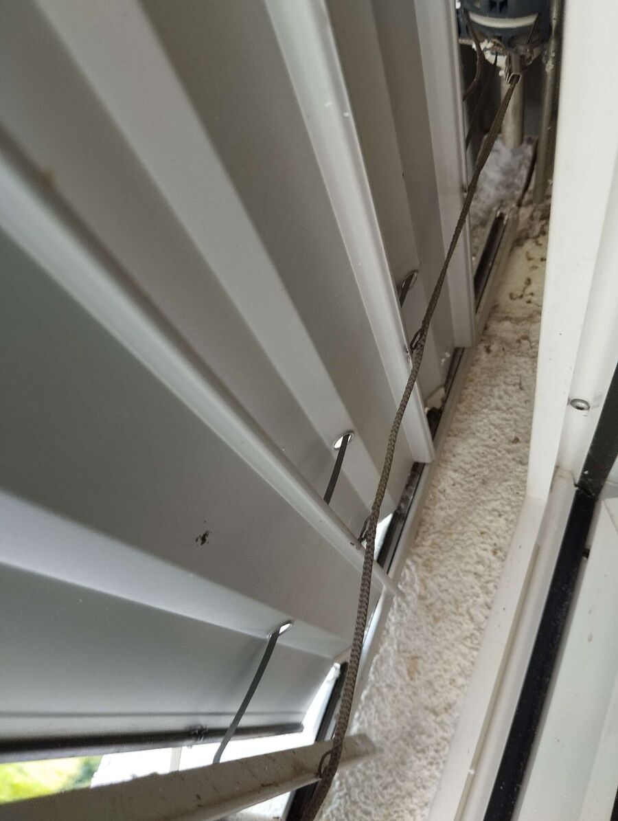 Bee nest at the house remove