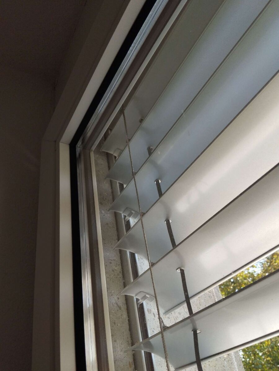 Relocate bees & remove bee nest