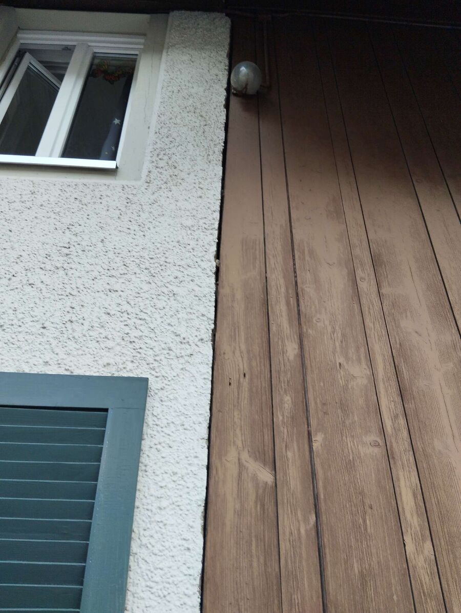 Relocate bees & remove bee nest