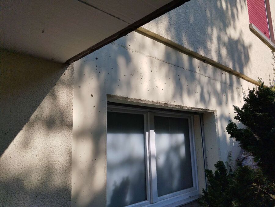 Bee nest at the house remove