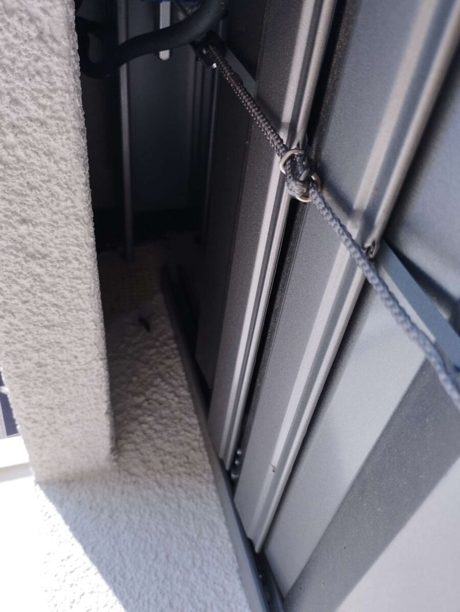 Bee nest at the house remove