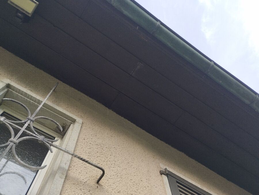 Bee nest at the house remove