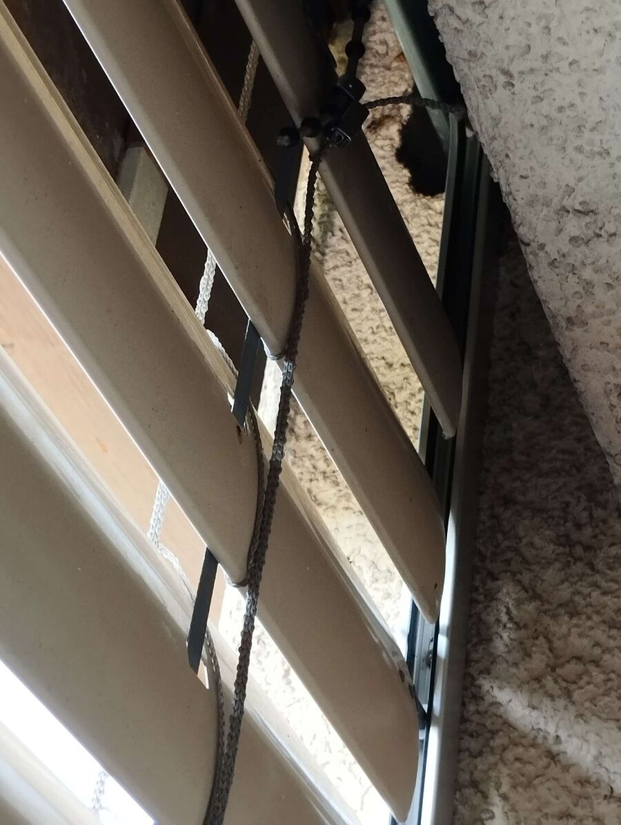 Bee nest at the house remove