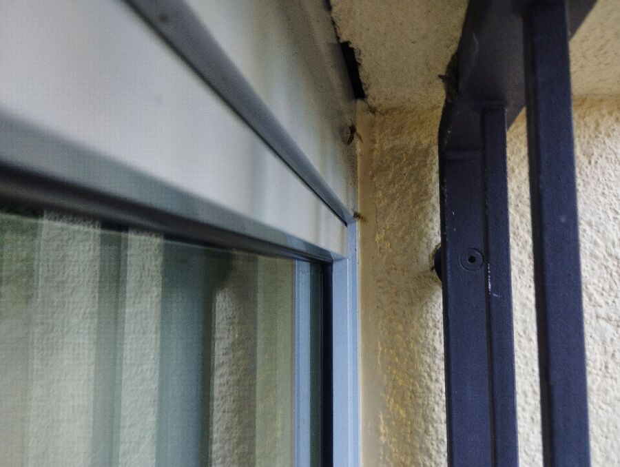 Bee nest at the house remove