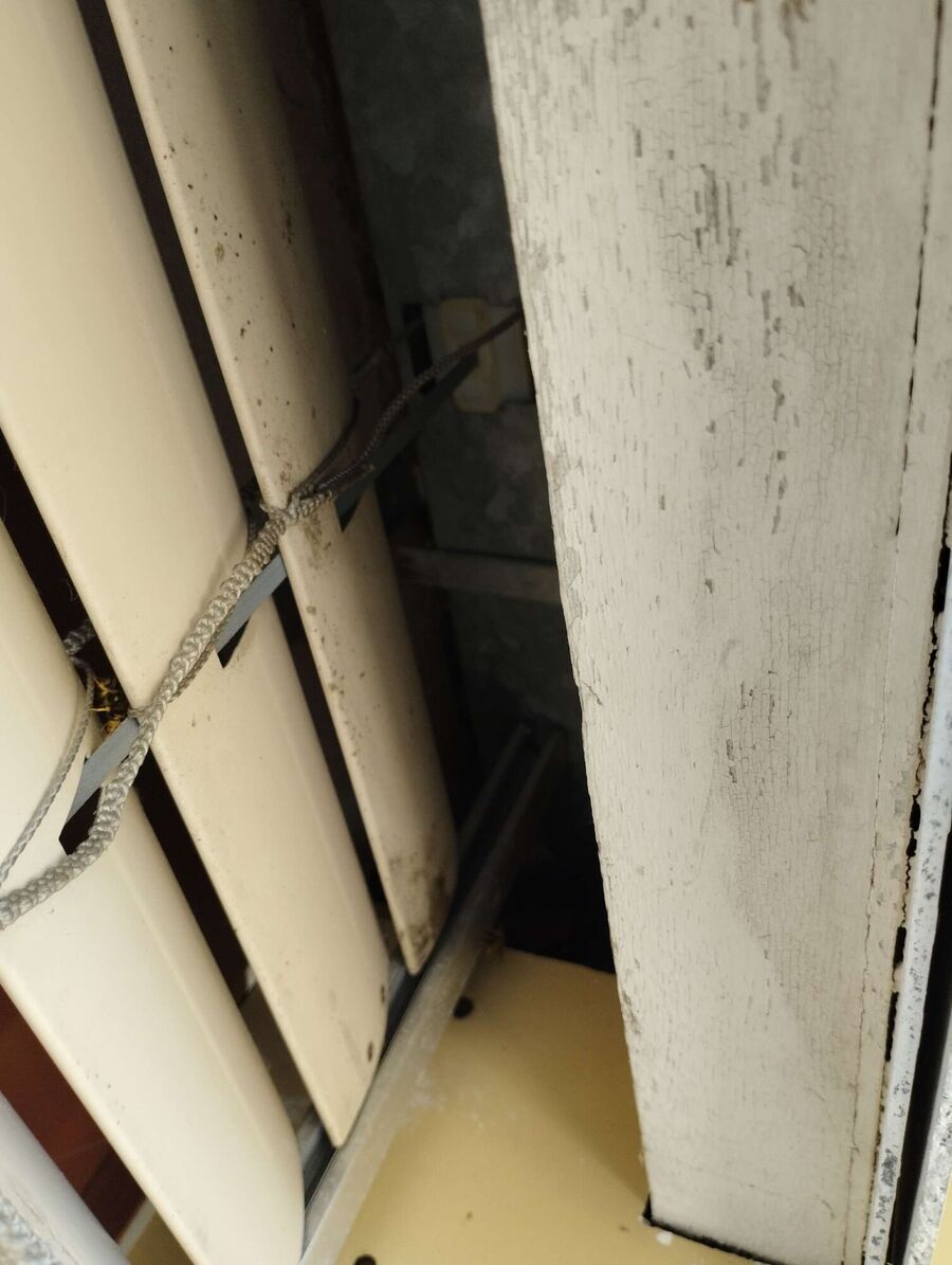 Bee nest at the house remove