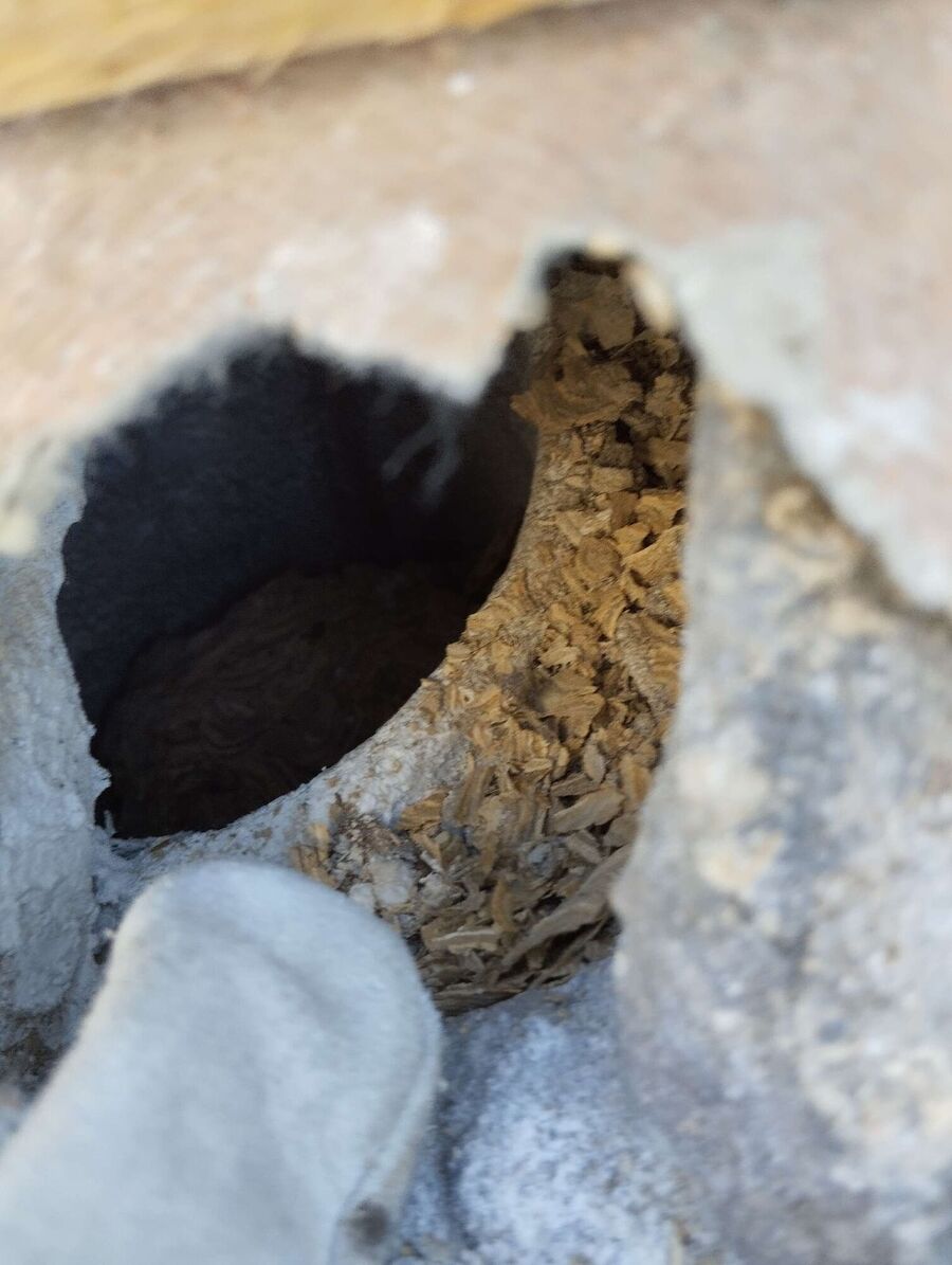 Bee nest at the house remove