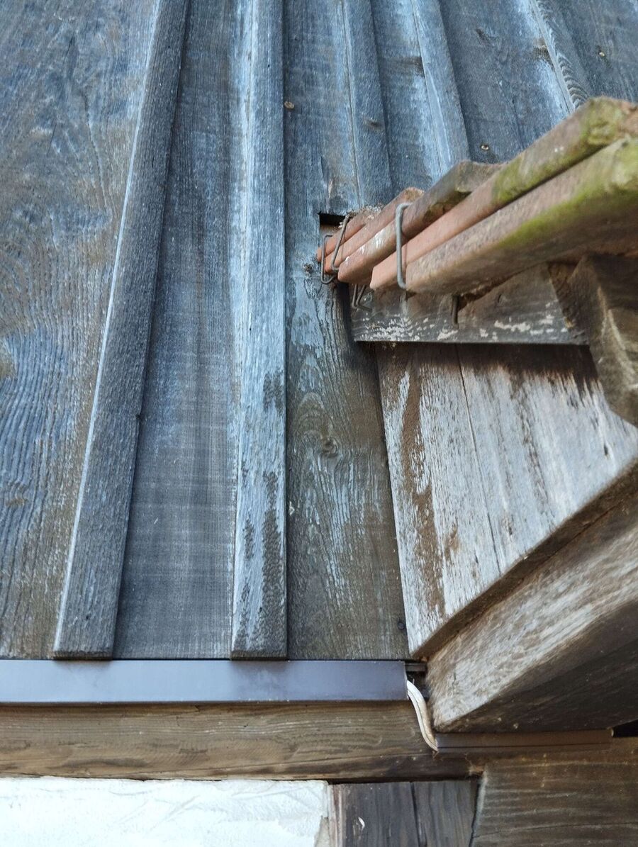 Bee nest at the house remove