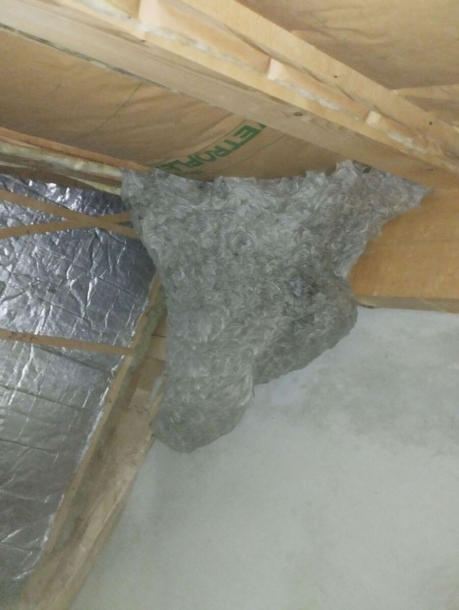Bee nest at the house remove