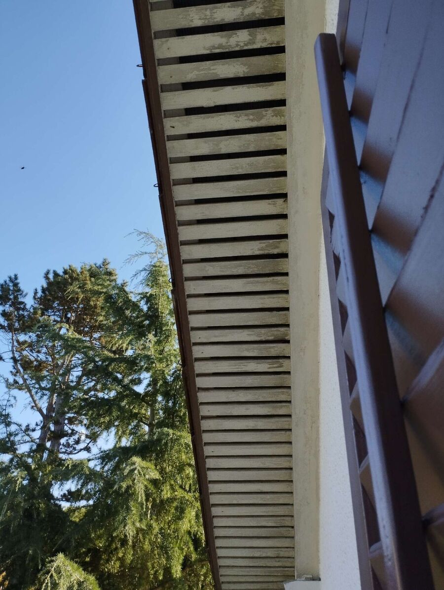 Bee nest at the house remove