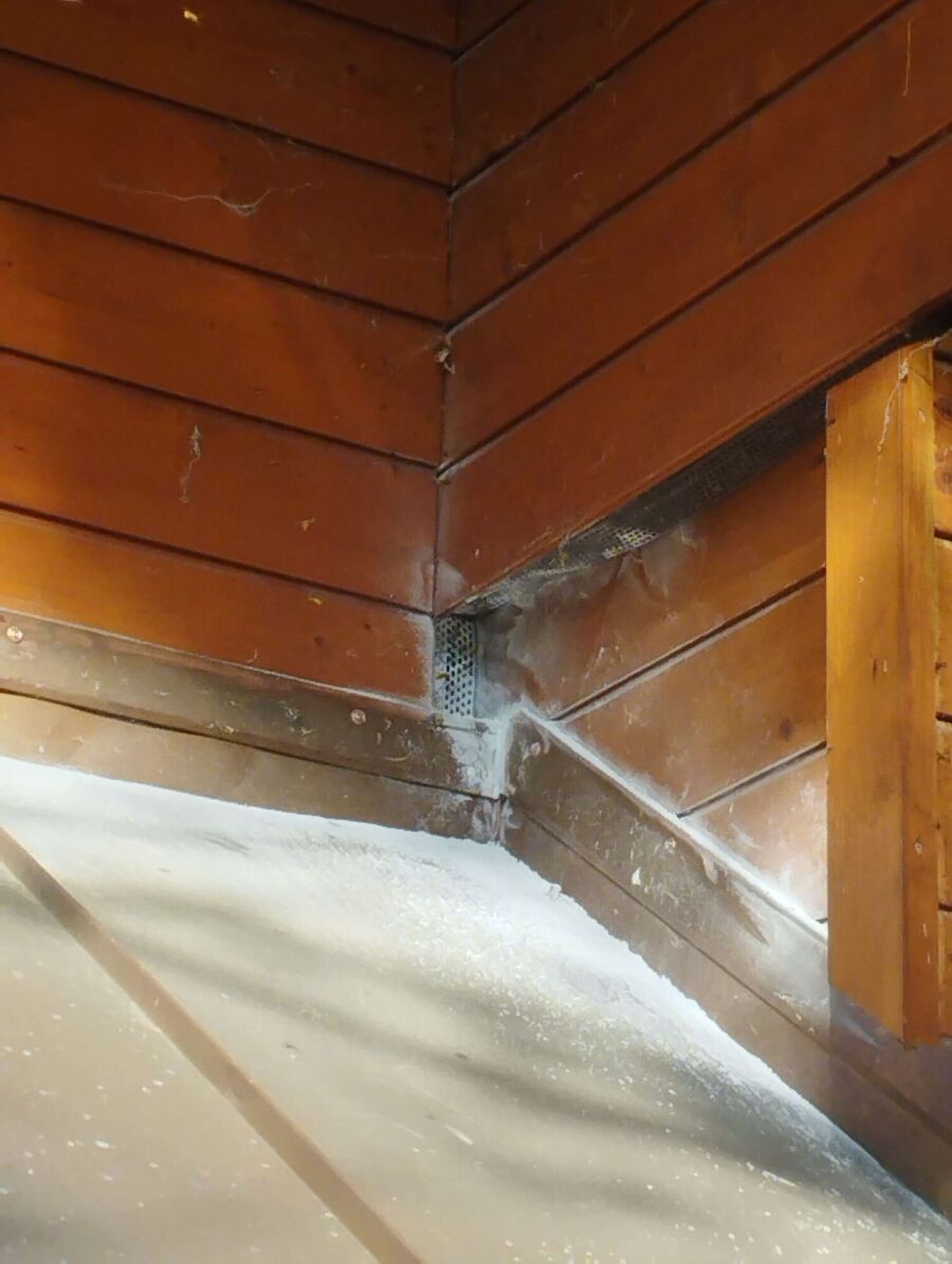 Bee nest at the house remove