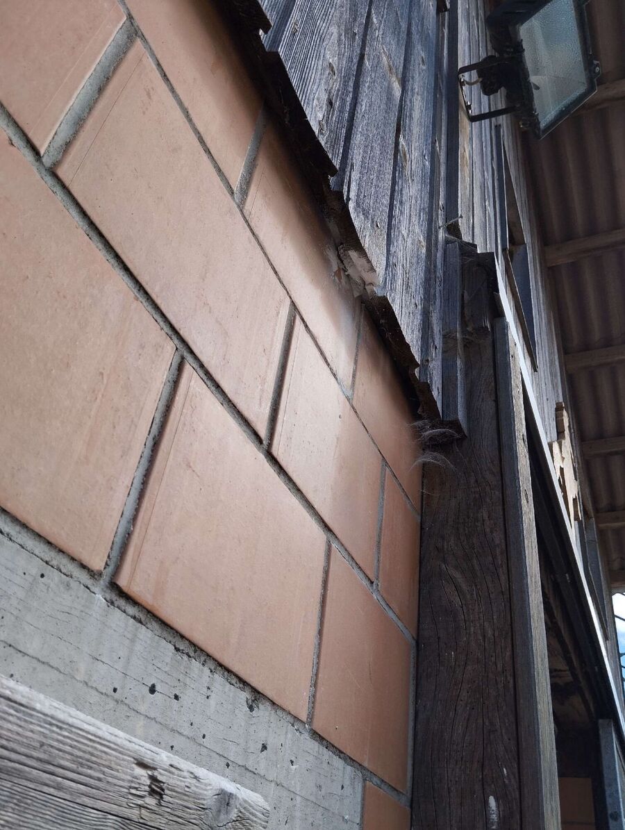 Bee nest at the house remove