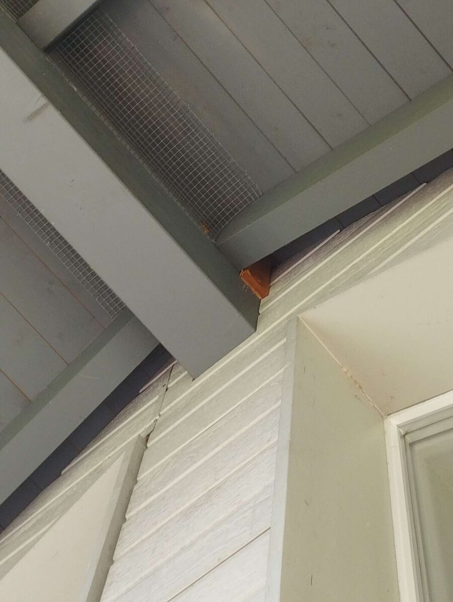Bee nest at the house remove